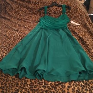 Evan Picone evening dress with powder accents